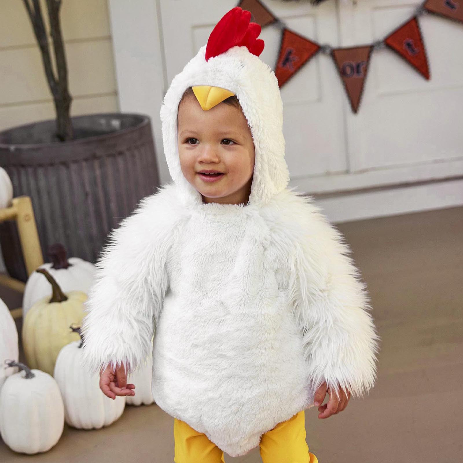 3-36M Baby Toddler Little Whit - đánh giá và giá Baby Clothing Discount